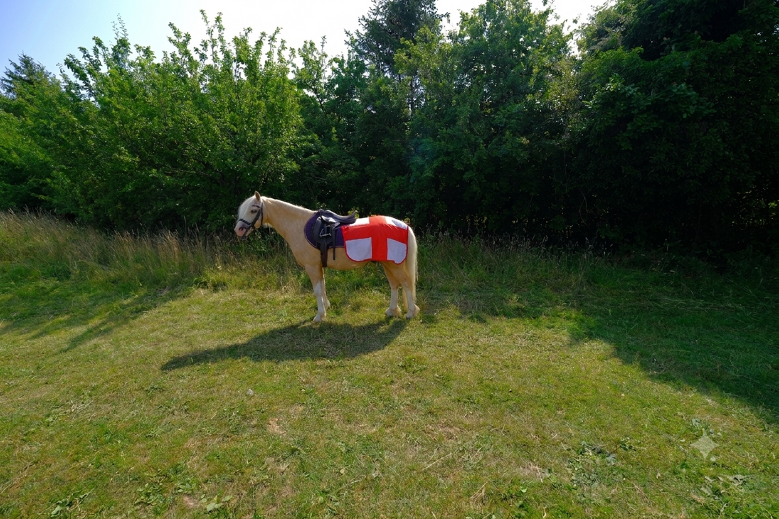 AJ's Helping to Bring Football Home For England!