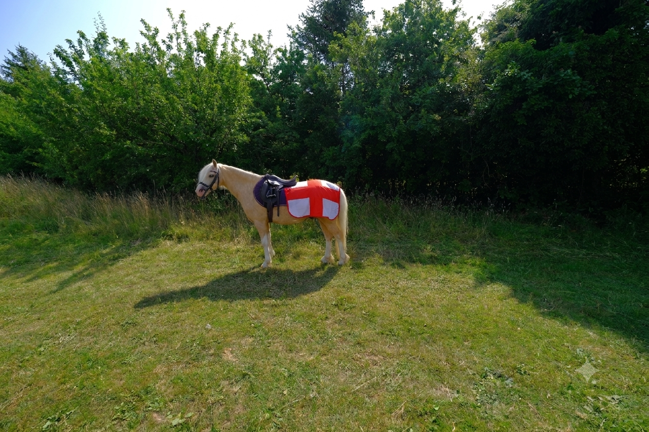 AJ's Helping to Bring Football Home For England!