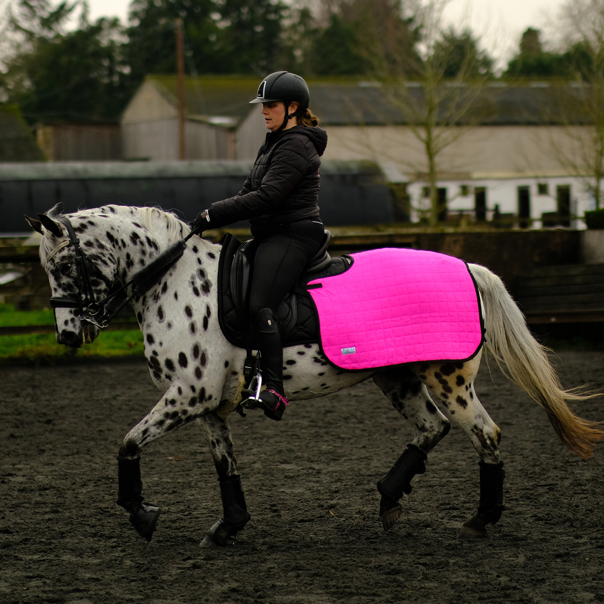 Doesitall Quarter Sheet