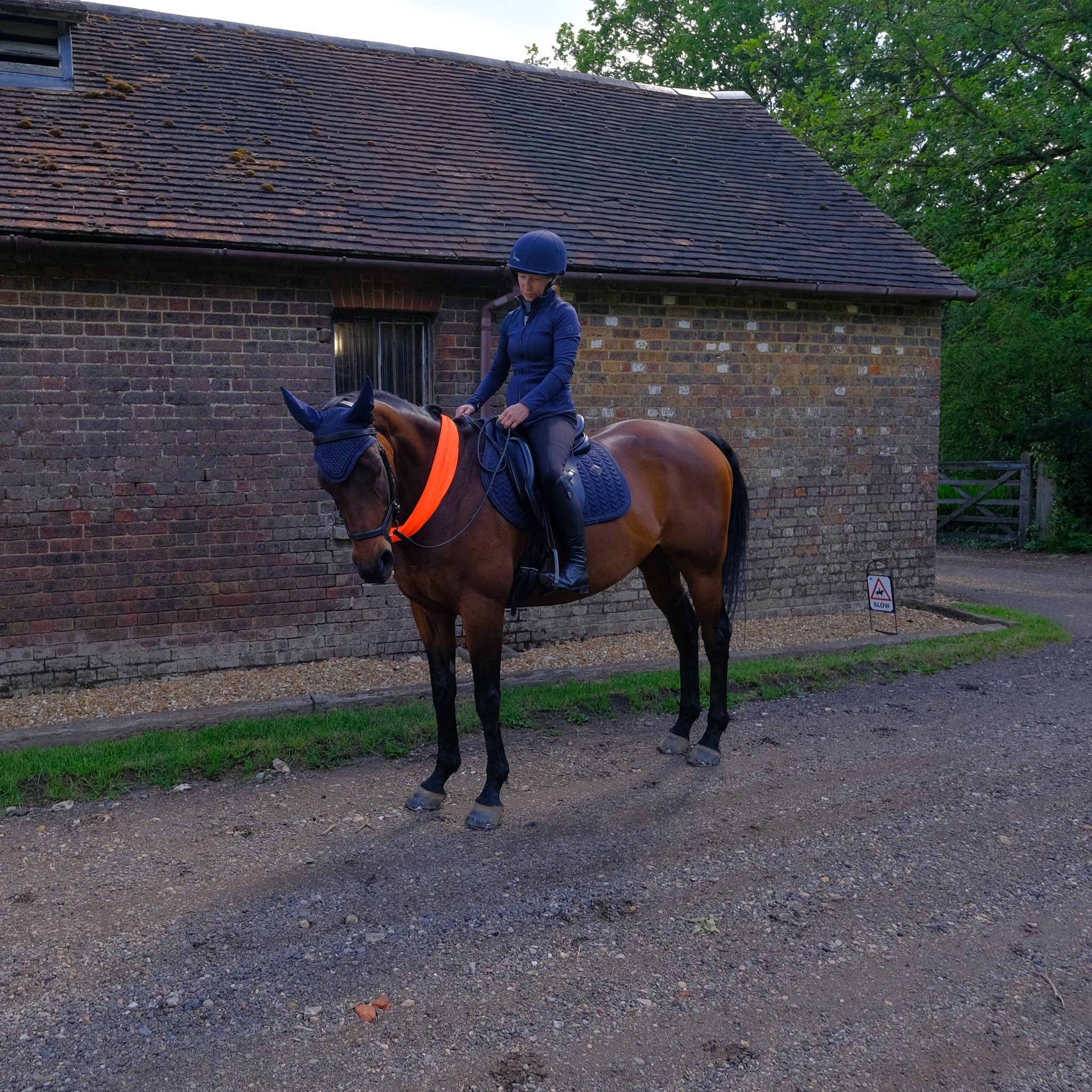 Mesh Horse Snood