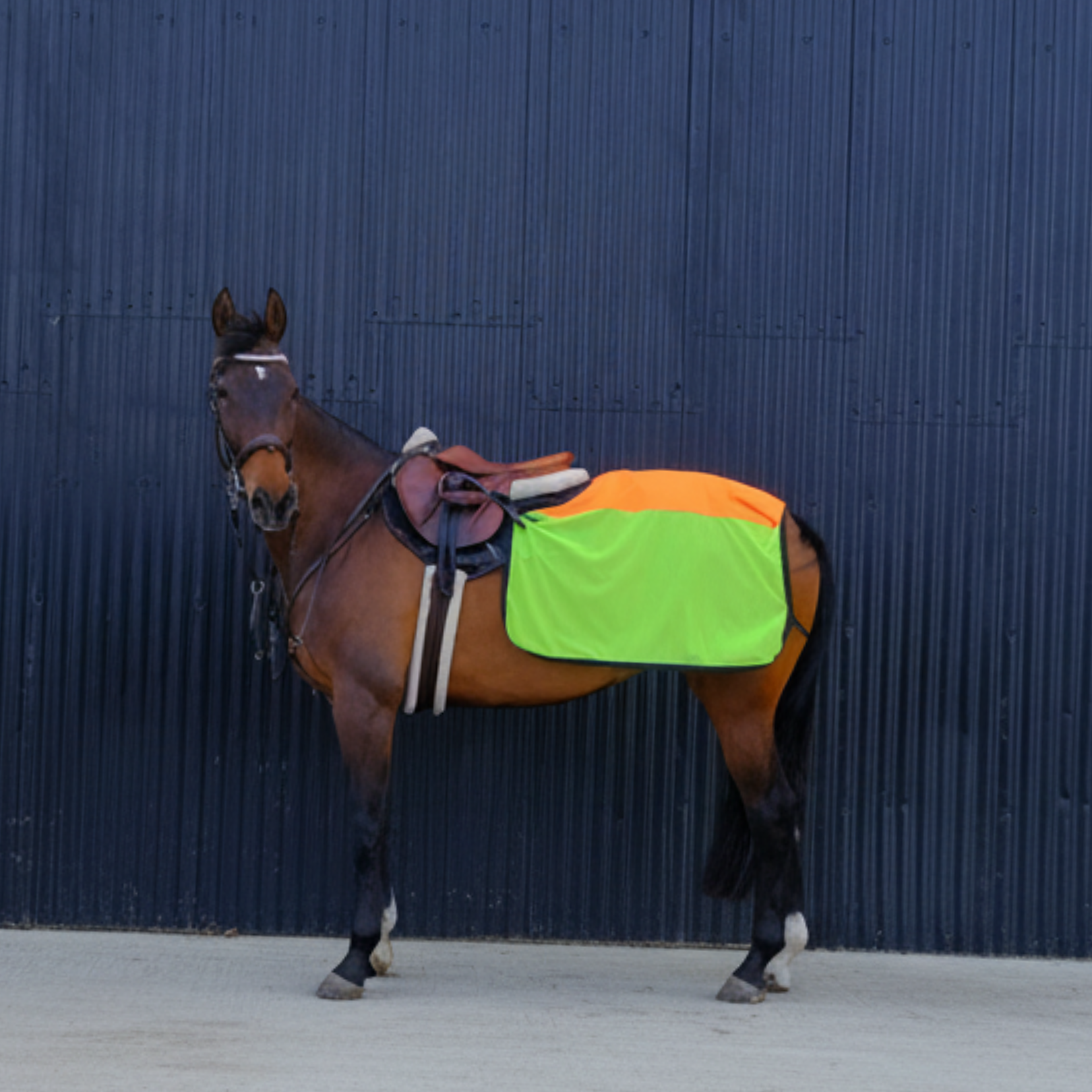 Dry Top Quarter Sheet