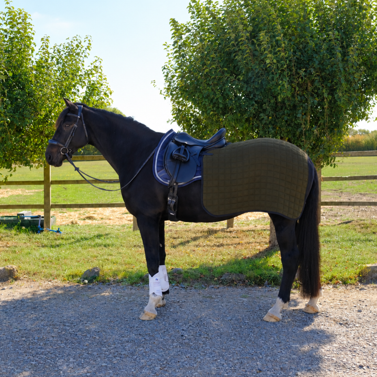 A black horse standing outdoors on a gravel path, wearing a dark olive or khaki green quilted knitted horse blanket (or exercise sheet/rug) and a blue saddle pad. Trees, grass, and a wooden fence are visible in the background.