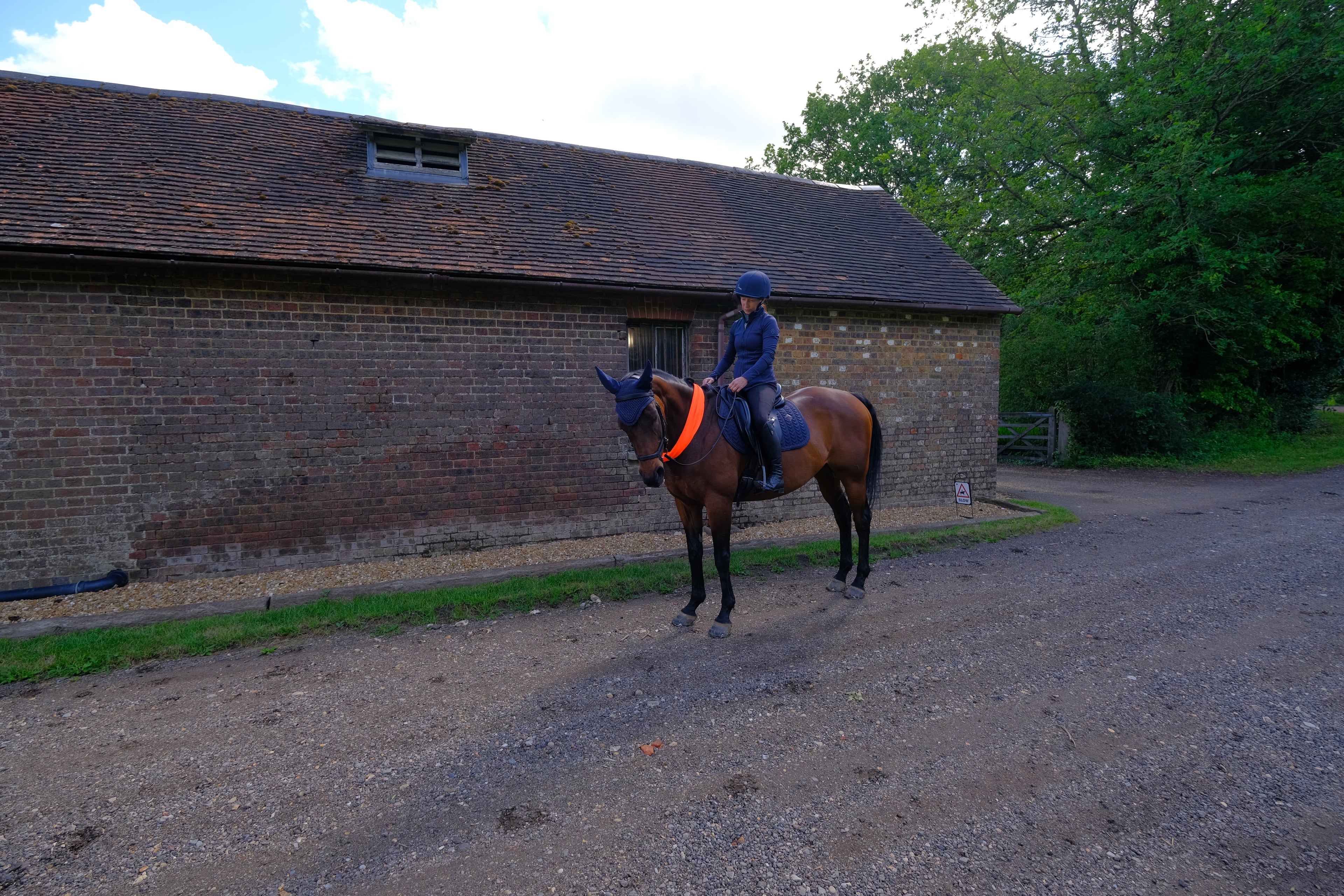 DRYVIS neon orange mesh horse snood shown on a bay ridden throughbred horse