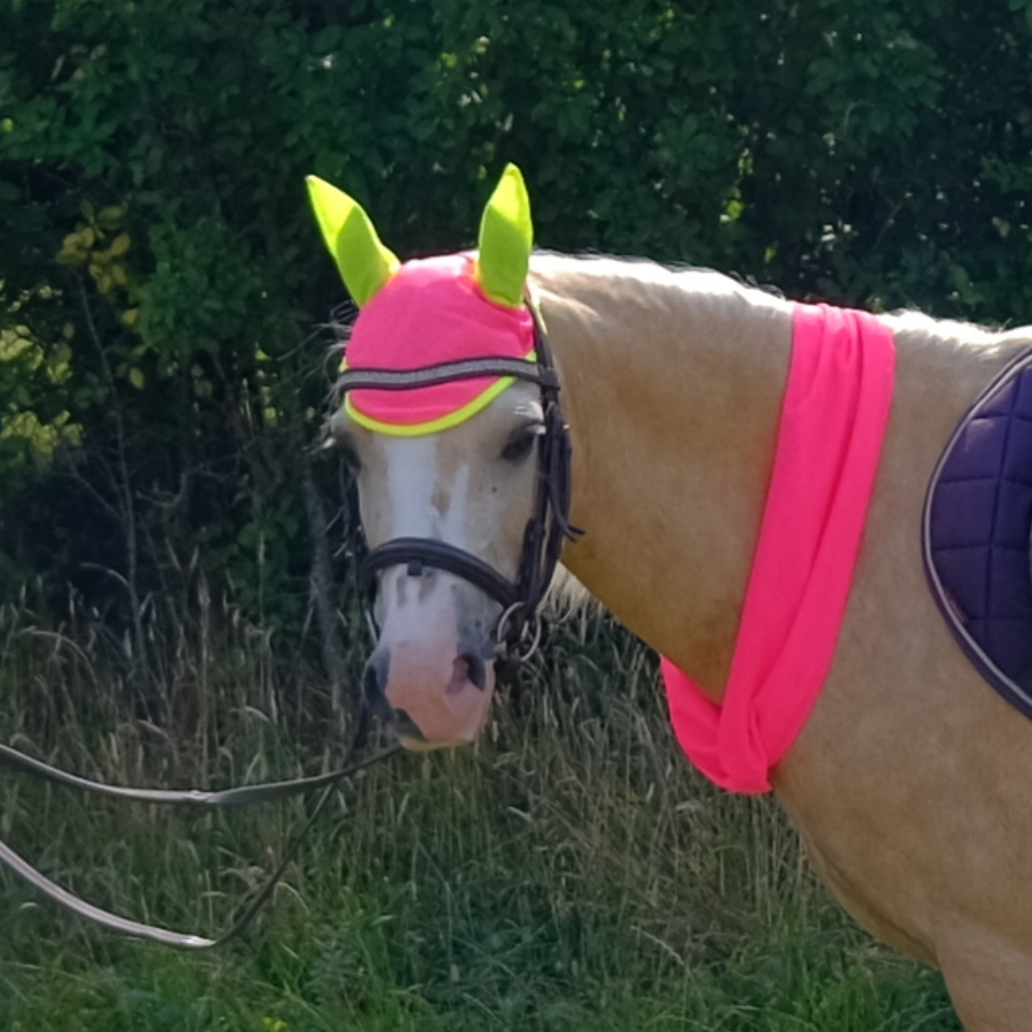 Mesh Horse Snood
