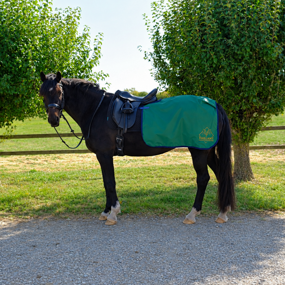 A black horse standing outdoors on a gravel path between leafy green trees, wearing a dark saddle and a green horse waterproof exercise sheet with a gold embroidered logo on the side.