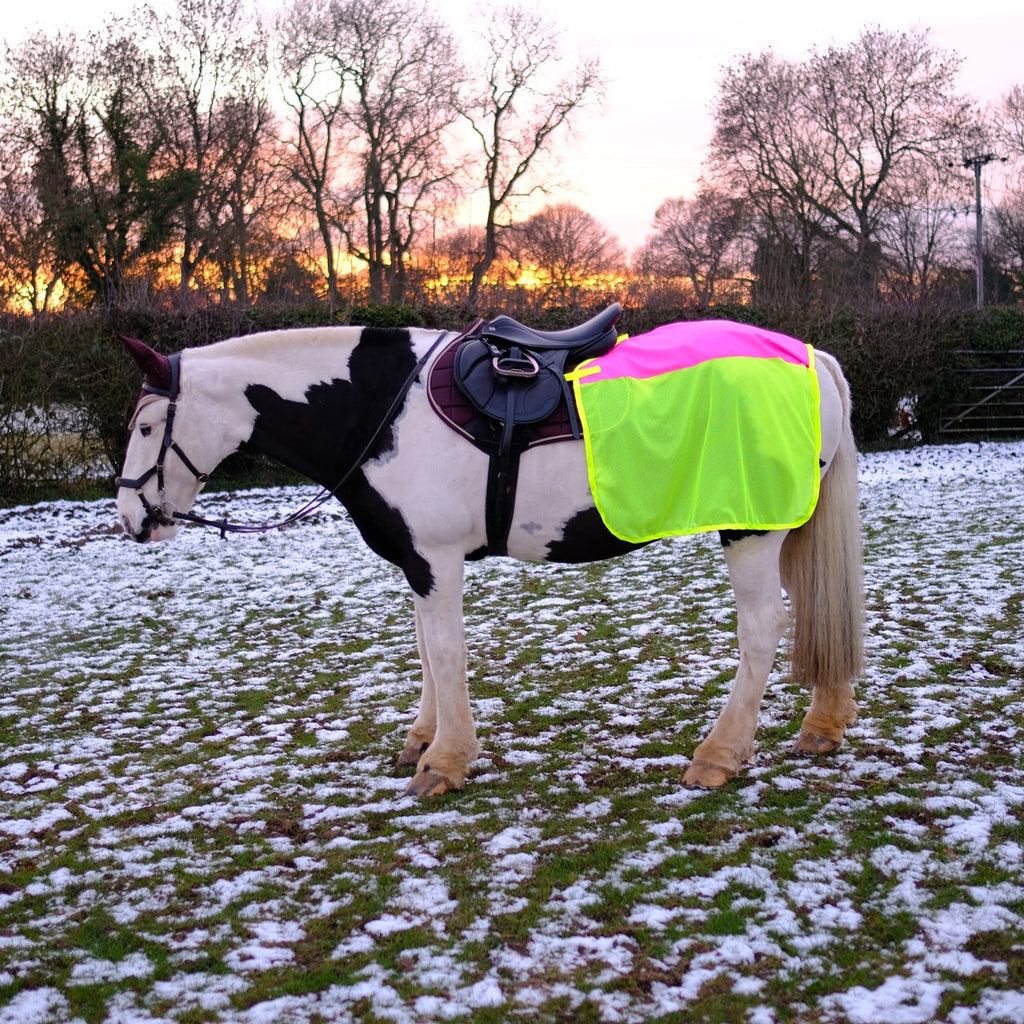 Dry Top Quarter Sheet