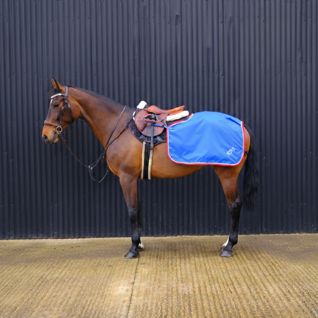 Bay KWPN Warmblood horse wearing a royal blue waterproof exercise sheet embroidered with the owner's initials, bound in red and with white piping. The quarter sheet has an extra large saddle cut out to accommodate the sheepskin half pad and straps which go around the stirrup leathers on this beautiful monoflap jump saddle.